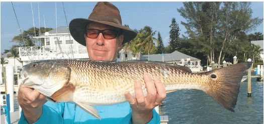 Mike holds a redfish landed on Ande Backcountry 8-pound test near Useppa Island Club.